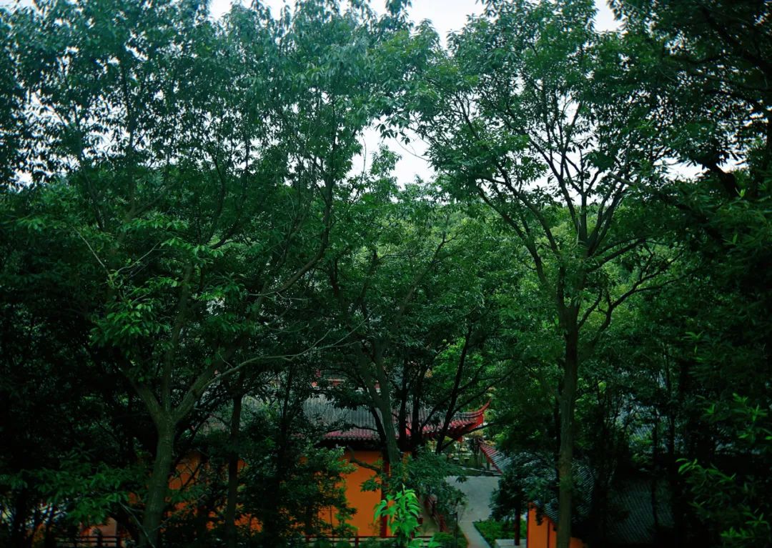 微信图片_20220824153847.jpg