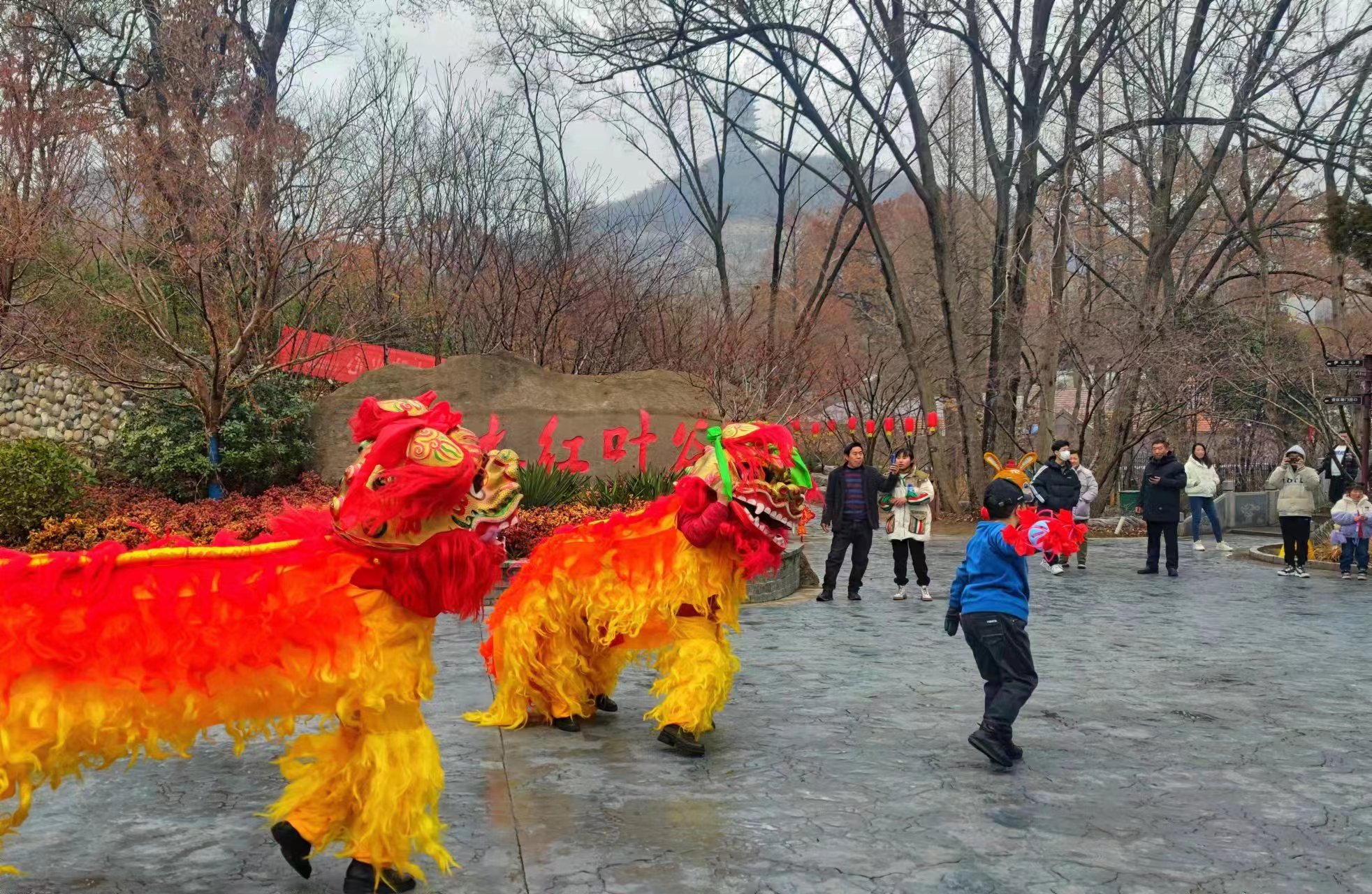 微信图片_2023012809084229.jpg