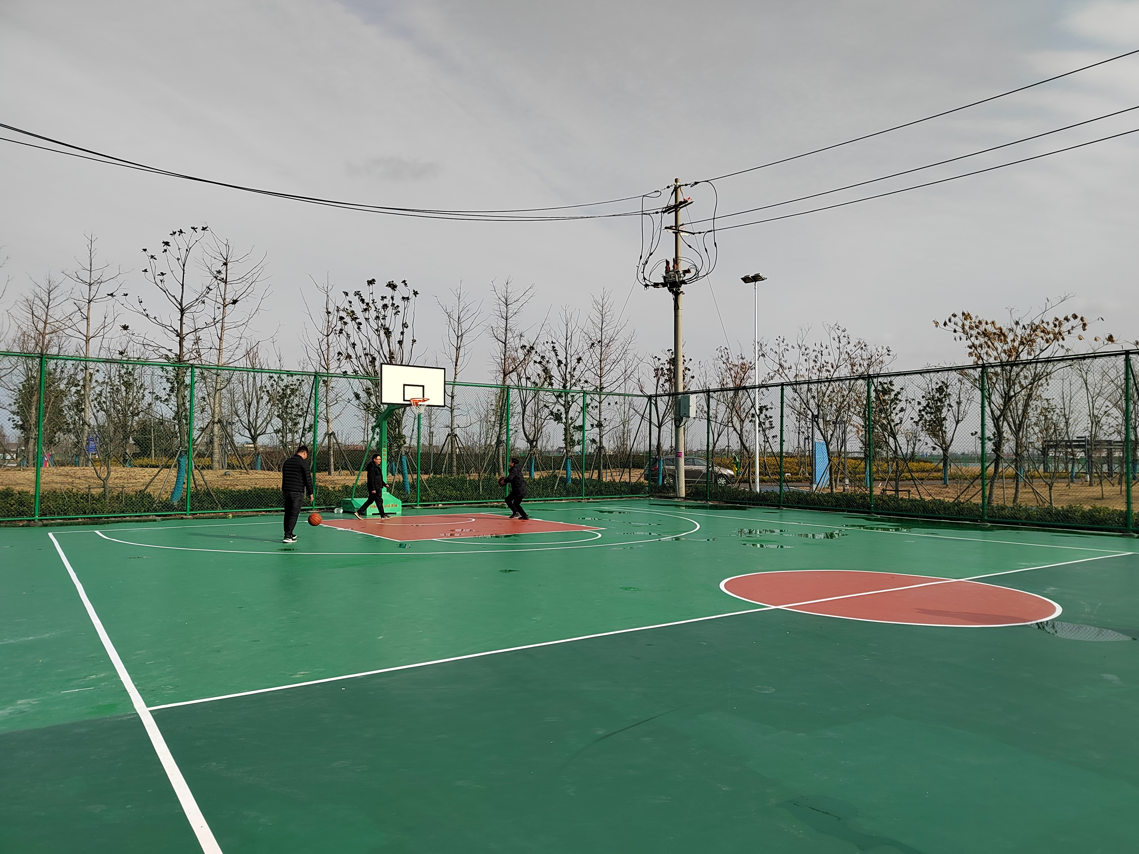IMG_20211212_102303.jpg
