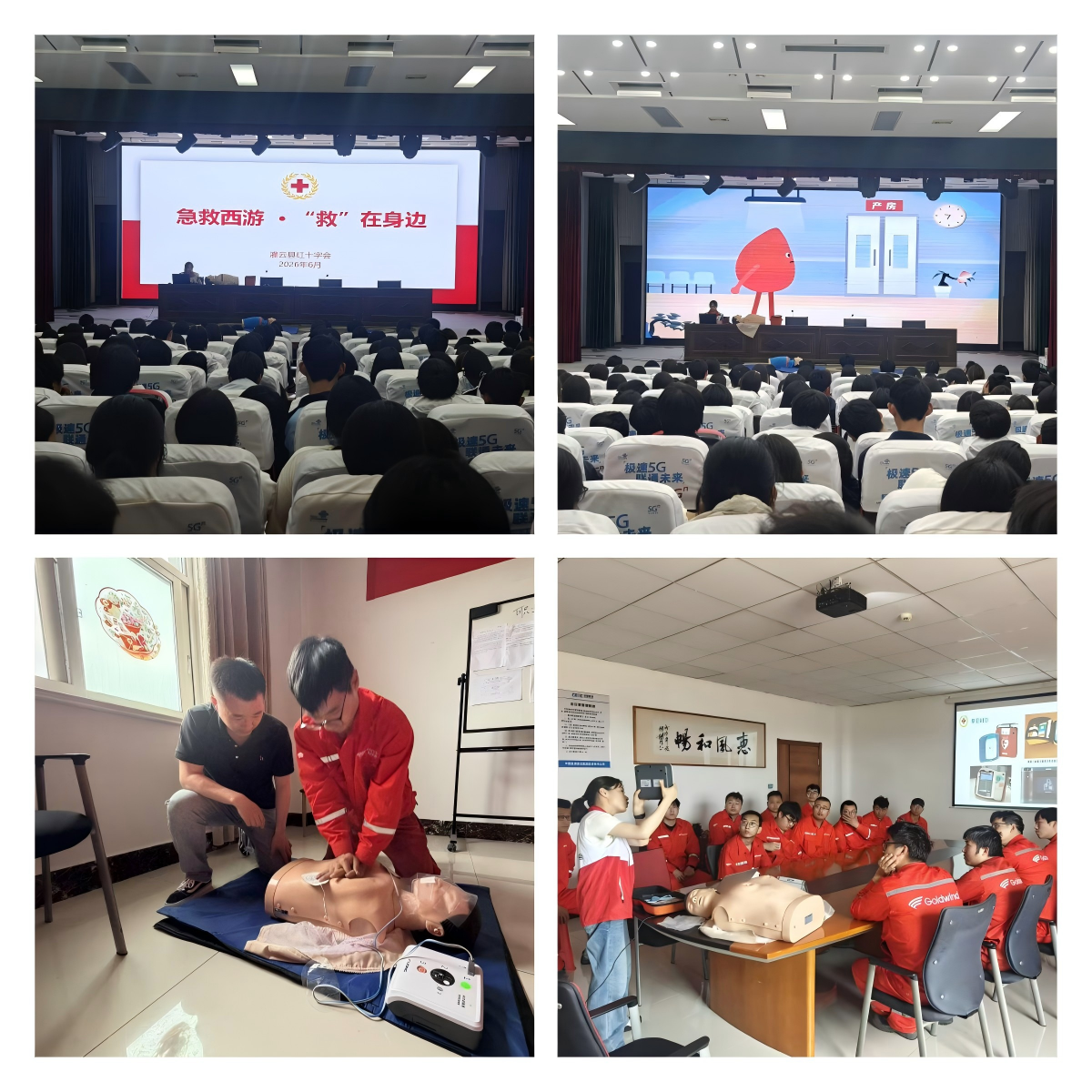 微信图片_20260611110339_846_16.png